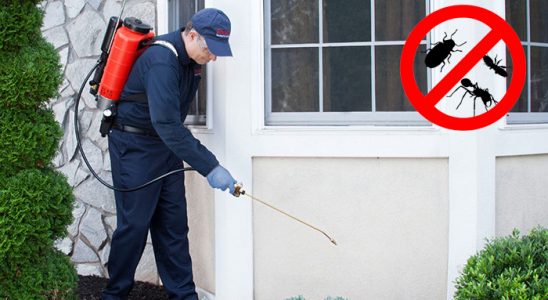 Beykoz Bit İlaçlama böcek ilaçlama ve haşere kontrolü — ilaclama-tr.com